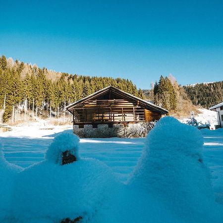 Laerchenwirt Dolomites Apartment San Nicolo di Comelico Exterior photo