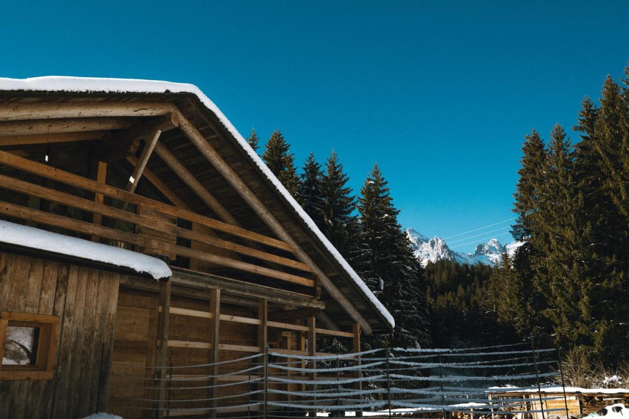 Laerchenwirt Dolomites Apartment San Nicolo di Comelico Exterior photo