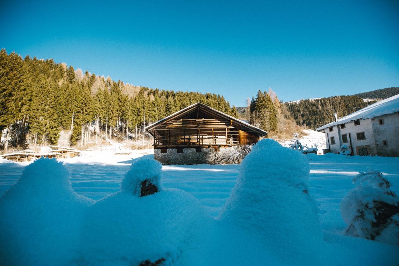 Laerchenwirt Dolomites Apartment San Nicolo di Comelico Exterior photo